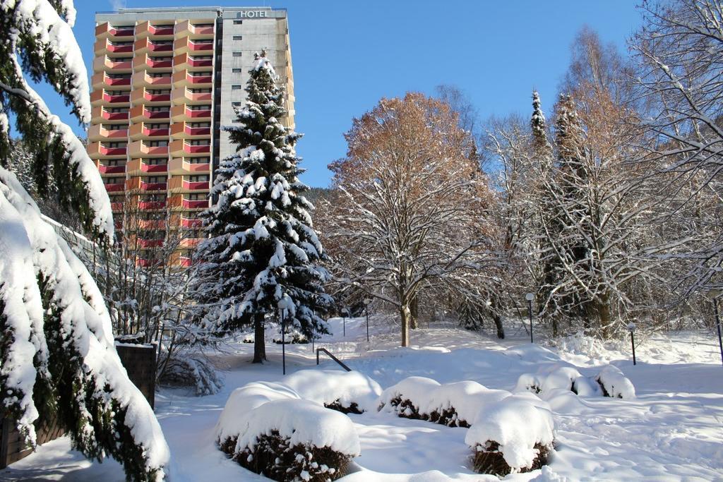 Familien Apartmenthotel Panoramic Bad Lauterberg Exterior photo