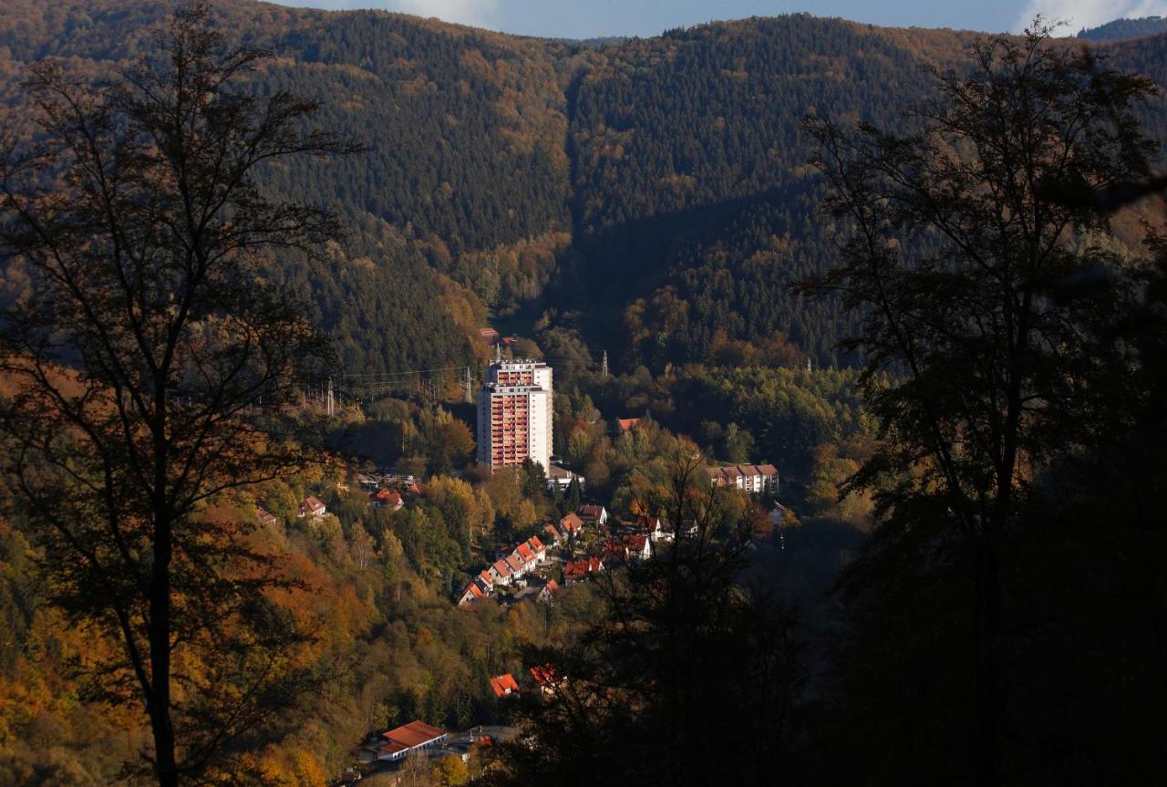 Familien Apartmenthotel Panoramic Bad Lauterberg Exterior photo